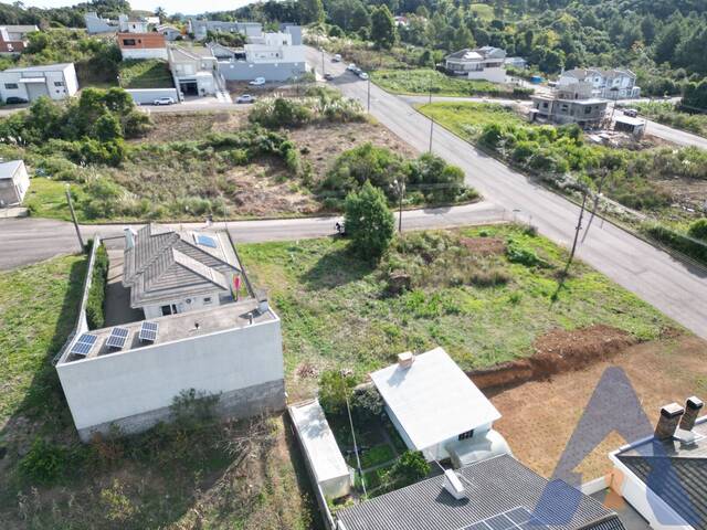 Terreno para Venda em Flores da Cunha - 4