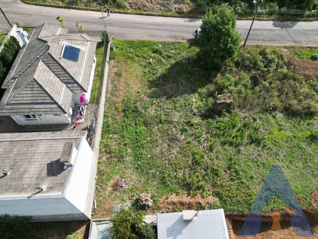 Terreno para Venda em Flores da Cunha - 5