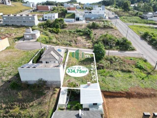 #309 - Terreno para Venda em Flores da Cunha - RS - 2