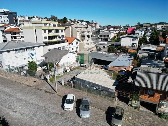 #311 - Terreno para Venda em Flores da Cunha - RS - 1