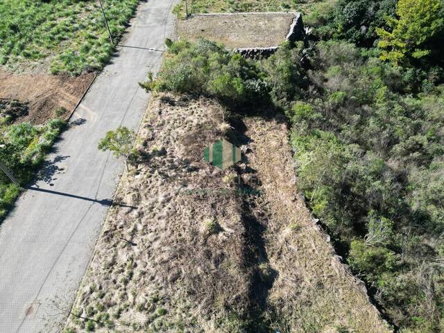 #315 - Terreno para Venda em Flores da Cunha - RS - 3