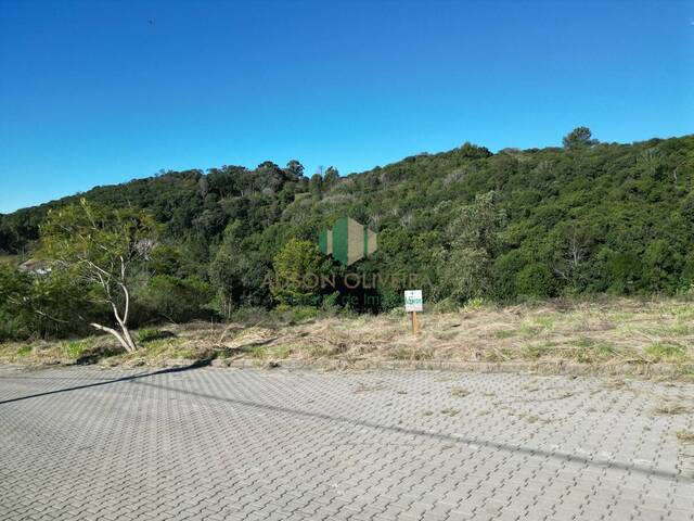 #315 - Terreno para Venda em Flores da Cunha - RS - 1