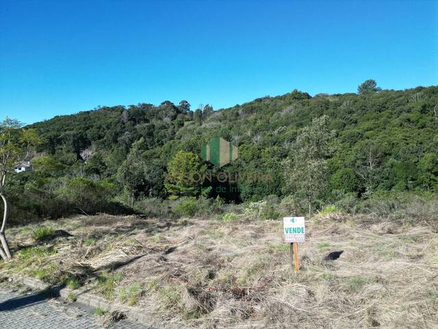 #315 - Terreno para Venda em Flores da Cunha - RS - 2