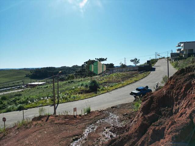 #316 - Terreno para Venda em Flores da Cunha - RS - 3