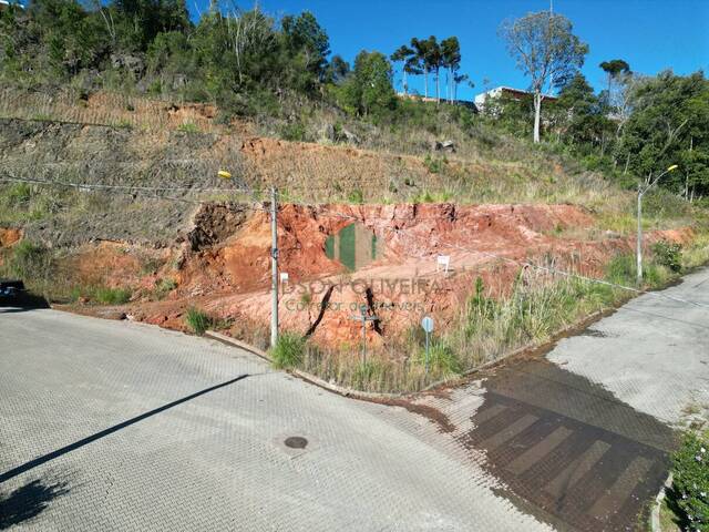 #316 - Terreno para Venda em Flores da Cunha - RS - 1