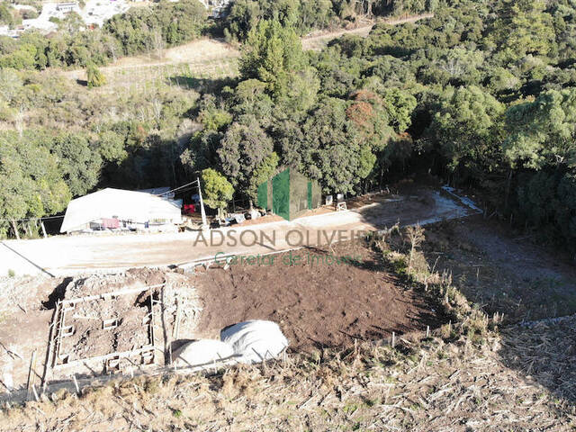 #320 - Terreno para Venda em Flores da Cunha - RS - 2