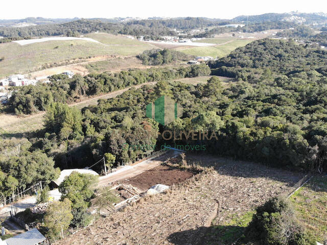 #320 - Terreno para Venda em Flores da Cunha - RS - 1