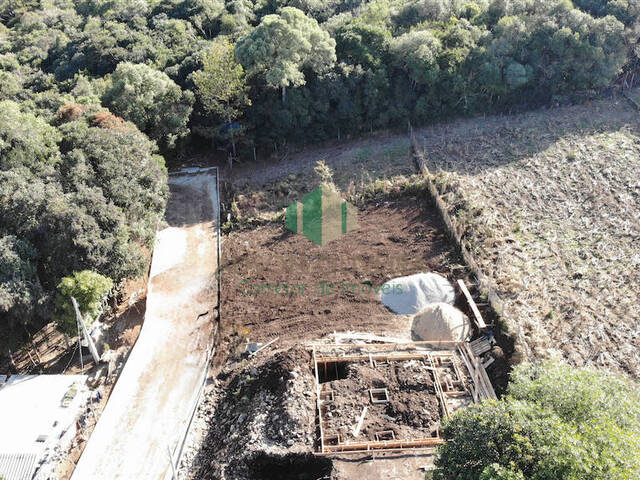 #320 - Terreno para Venda em Flores da Cunha - RS - 3
