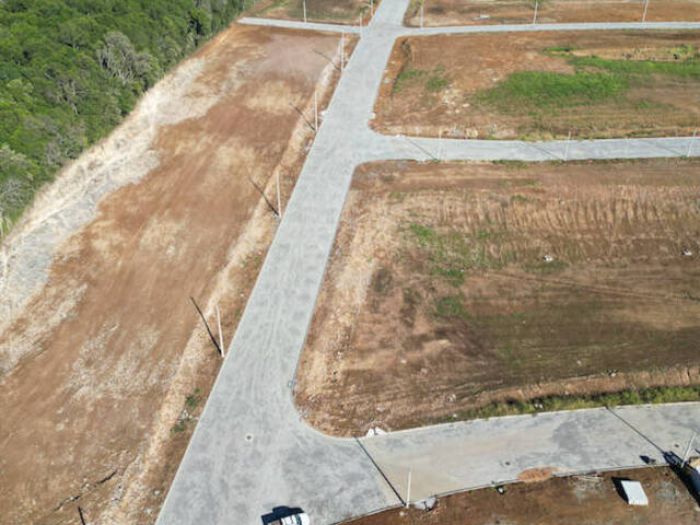 Terreno para Venda em Flores da Cunha - 4