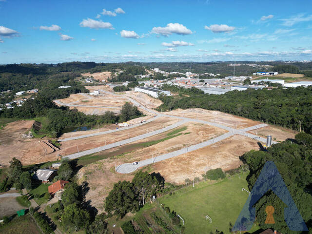 Terreno para Venda em Flores da Cunha - 5