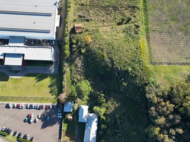 Chácara para Venda em Flores da Cunha - 5