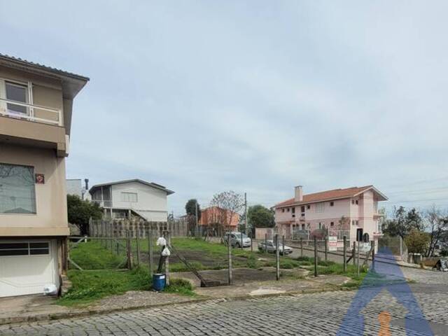 Terreno para Venda em Caxias do Sul - 4