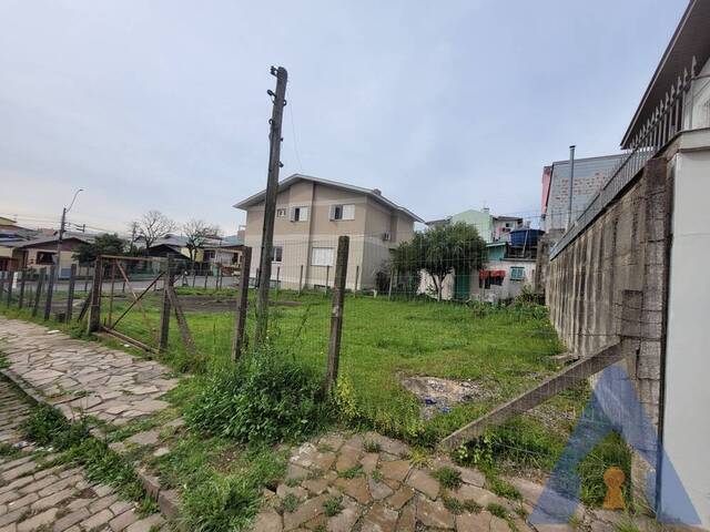 Terreno para Venda em Caxias do Sul - 5