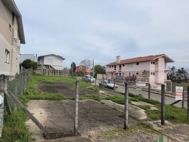 #337 - Terreno para Venda em Caxias do Sul - RS - 2