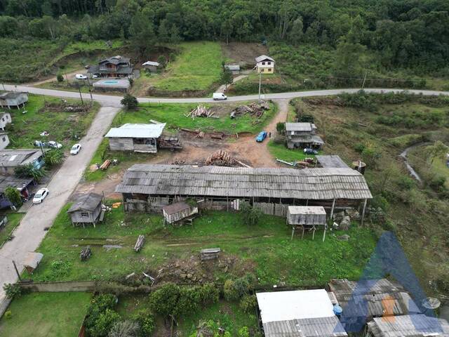 Terreno para Venda em Flores da Cunha - 4
