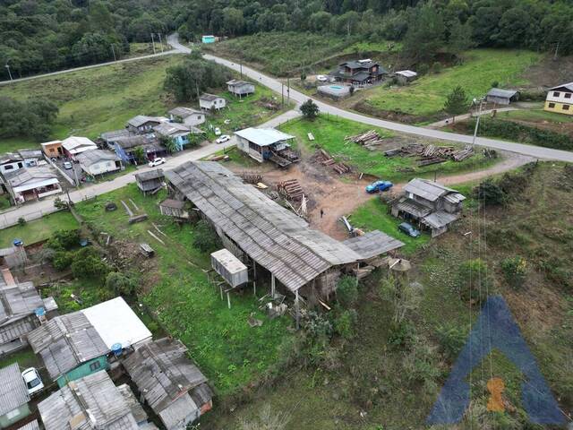 Terreno para Venda em Flores da Cunha - 5