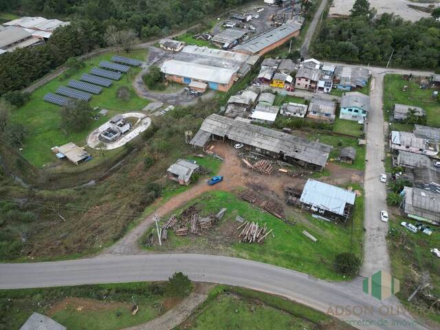 #338 - Terreno para Venda em Flores da Cunha - RS - 2