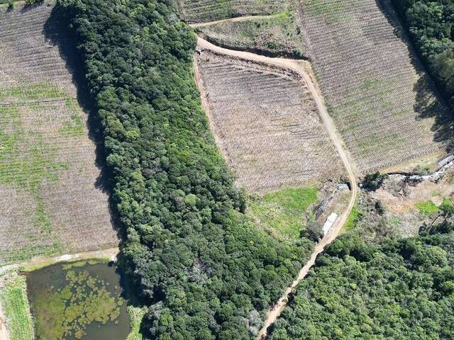 Chácara para Venda em Flores da Cunha - 5