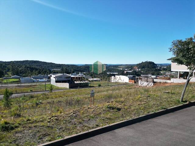 #343 - Terreno para Venda em Flores da Cunha - RS - 3