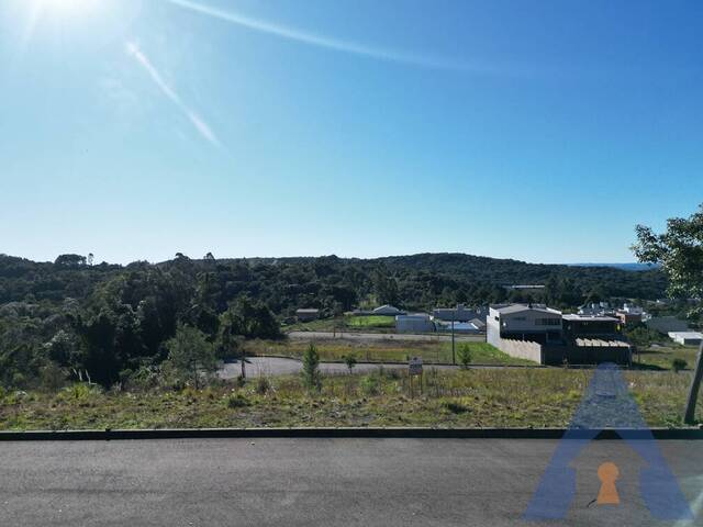 Terreno para Venda em Flores da Cunha - 4