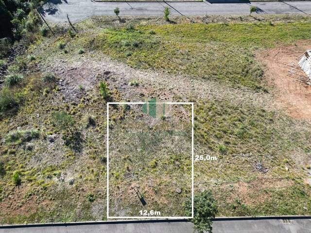 #343 - Terreno para Venda em Flores da Cunha - RS - 2