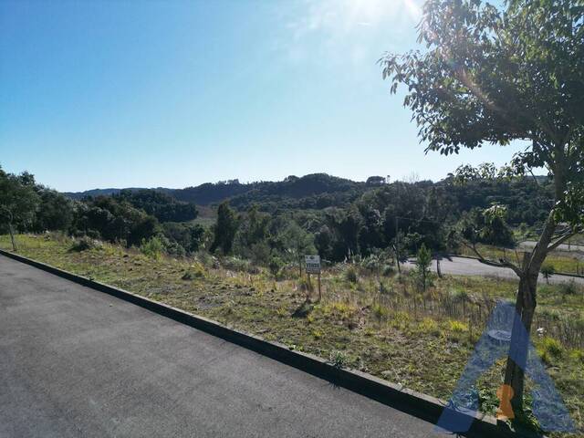 Terreno para Venda em Flores da Cunha - 5