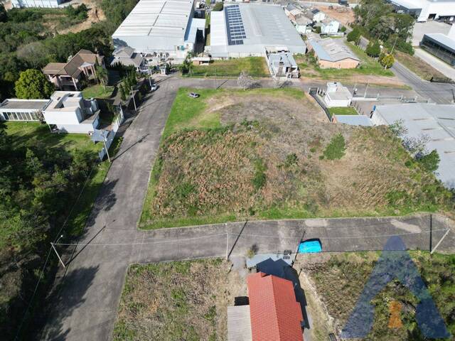 Terreno para Venda em Flores da Cunha - 5