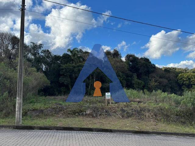 #345 - Terreno para Venda em Flores da Cunha - RS - 3