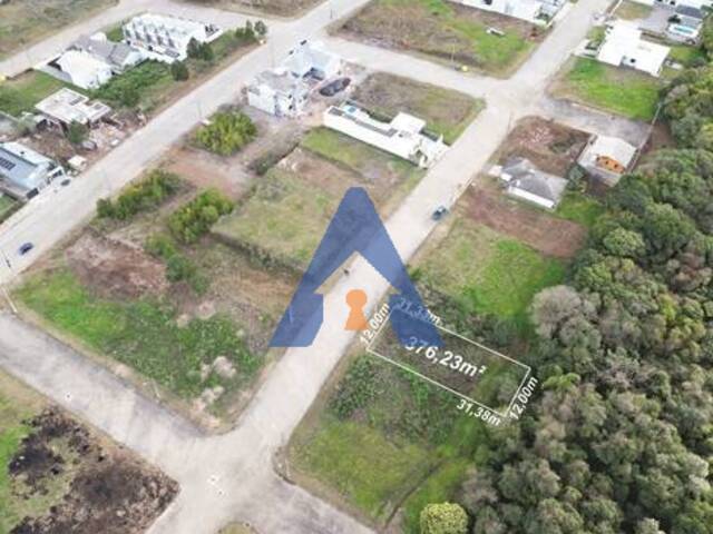 #345 - Terreno para Venda em Flores da Cunha - RS - 2