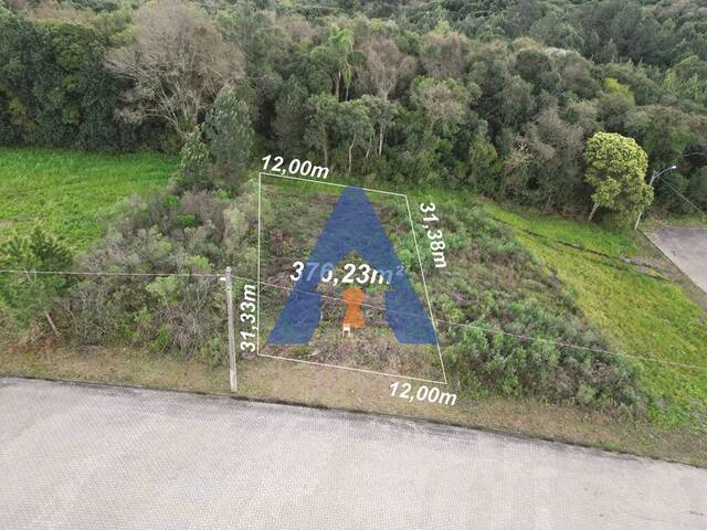 #345 - Terreno para Venda em Flores da Cunha - RS - 1