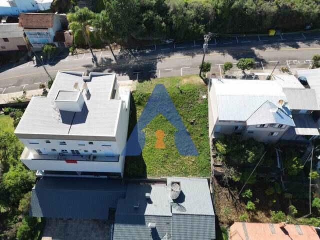#346 - Terreno para Venda em Flores da Cunha - RS - 2