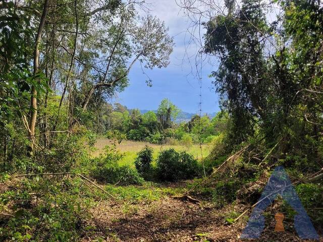 Chácara para Venda em Flores da Cunha - 4