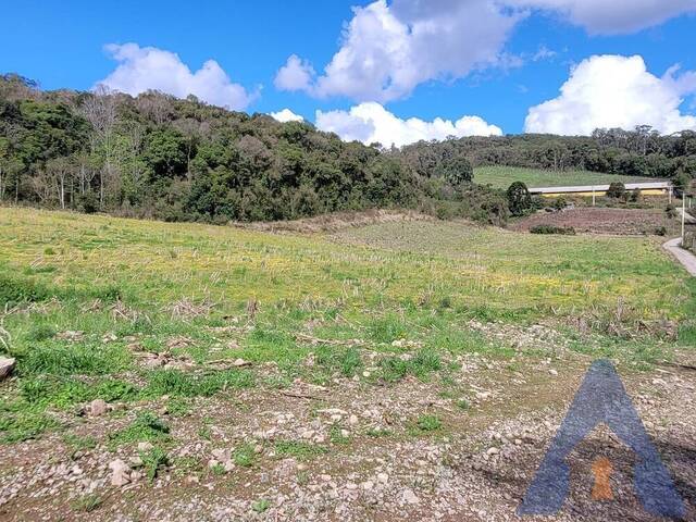 Chácara para Venda em Flores da Cunha - 5