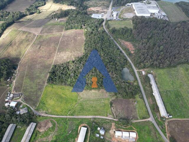 #339 - Chácara para Venda em Flores da Cunha - RS - 2