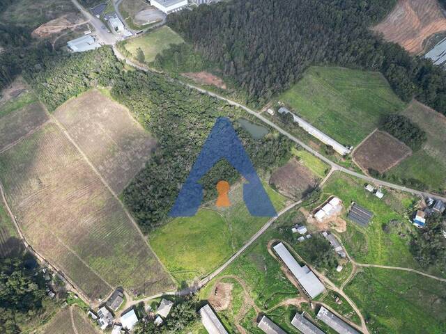 #339 - Chácara para Venda em Flores da Cunha - RS - 3