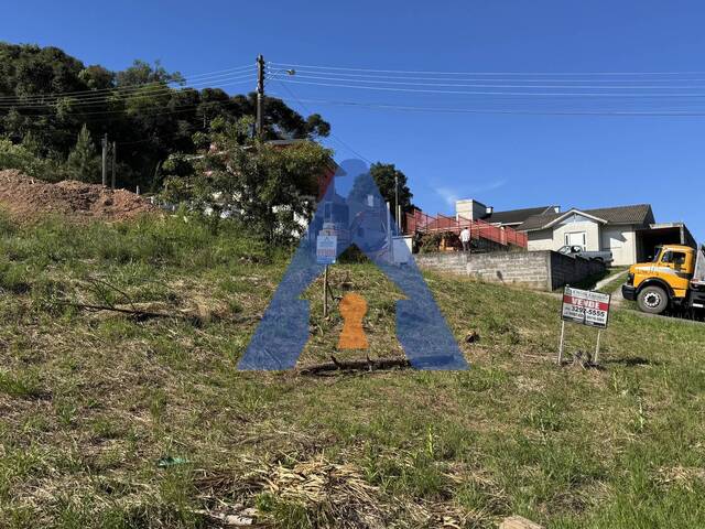 #252 - Terreno para Venda em Flores da Cunha - RS - 2