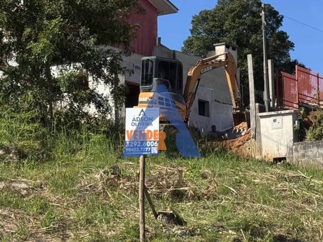 #252 - Terreno para Venda em Flores da Cunha - RS - 1
