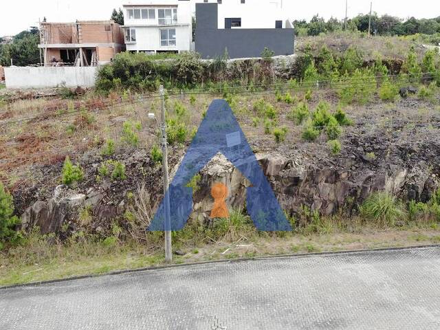 #355 - Terreno para Venda em Flores da Cunha - RS - 1