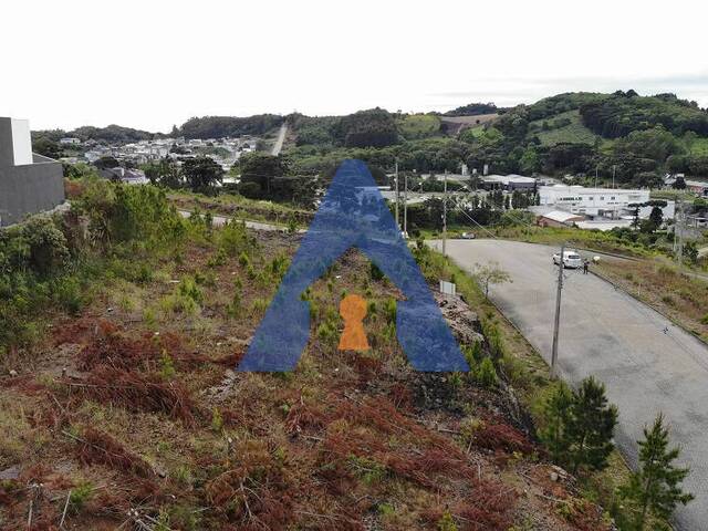#355 - Terreno para Venda em Flores da Cunha - RS - 3