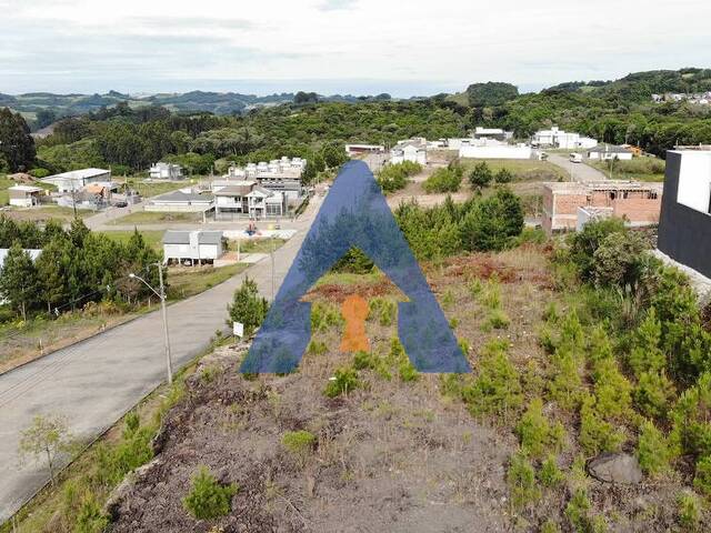 #355 - Terreno para Venda em Flores da Cunha - RS - 2