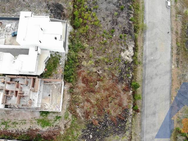 Terreno para Venda em Flores da Cunha - 4
