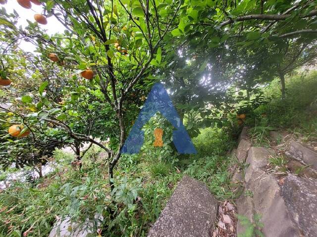 #356 - Casa para Venda em Flores da Cunha - RS - 2