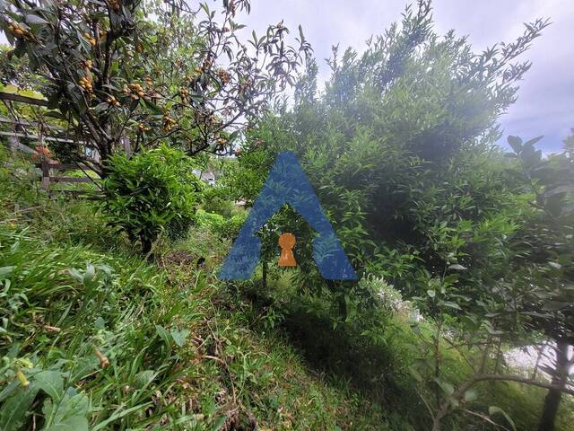 #356 - Casa para Venda em Flores da Cunha - RS - 3