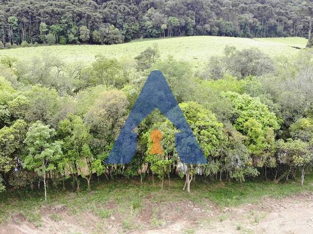 #332 - Chácara para Venda em Flores da Cunha - RS - 2
