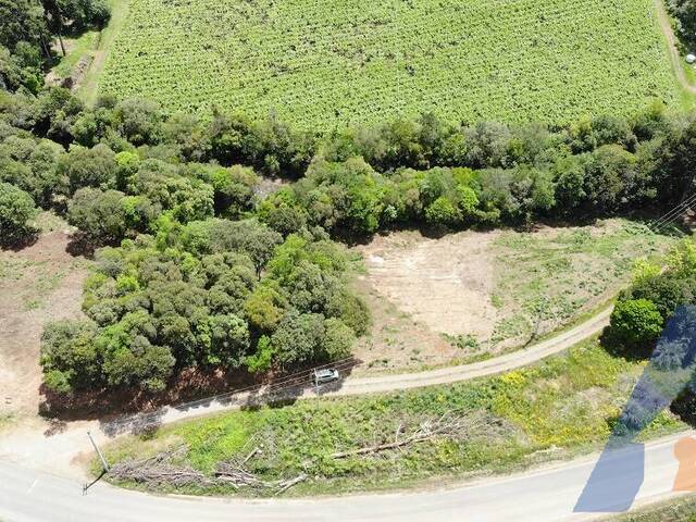 Chácara para Venda em Flores da Cunha - 4