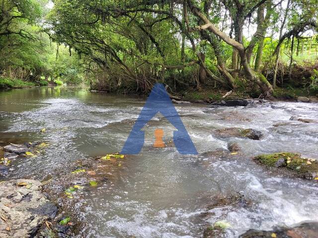 #332 - Chácara para Venda em Flores da Cunha - RS - 1