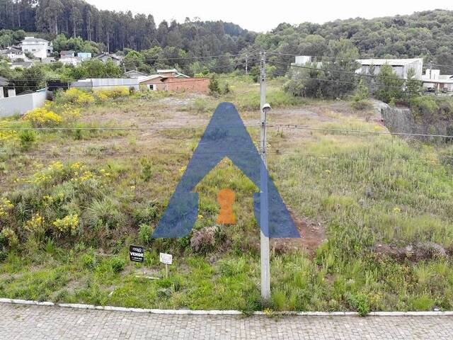 #357 - Terreno para Venda em Flores da Cunha - RS - 2