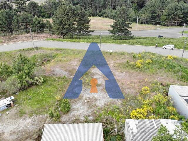 #357 - Terreno para Venda em Flores da Cunha - RS - 3