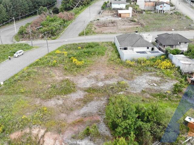 Terreno para Venda em Flores da Cunha - 4