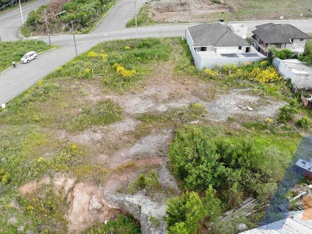 Terreno para Venda em Flores da Cunha - 5